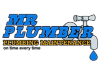 Mr Plumber